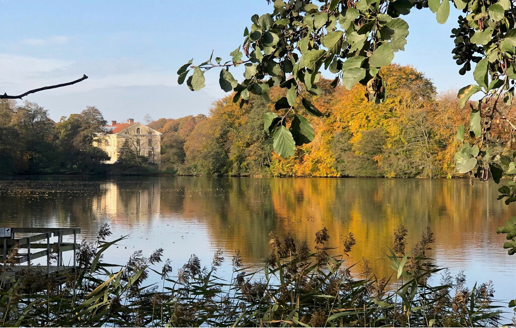 Domy wakacyjne - Österlen/Gyllebo/Simrishamn , Szwecja - S12250 23