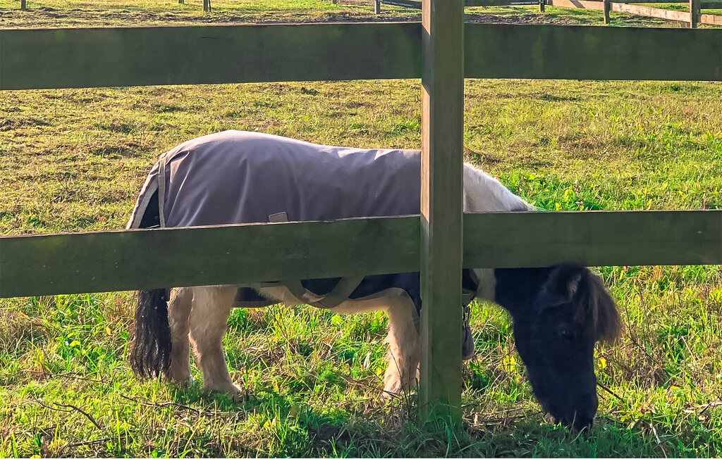 Domy wakacyjne - Österlen/Gyllebo/Simrishamn , Szwecja - S12250 27
