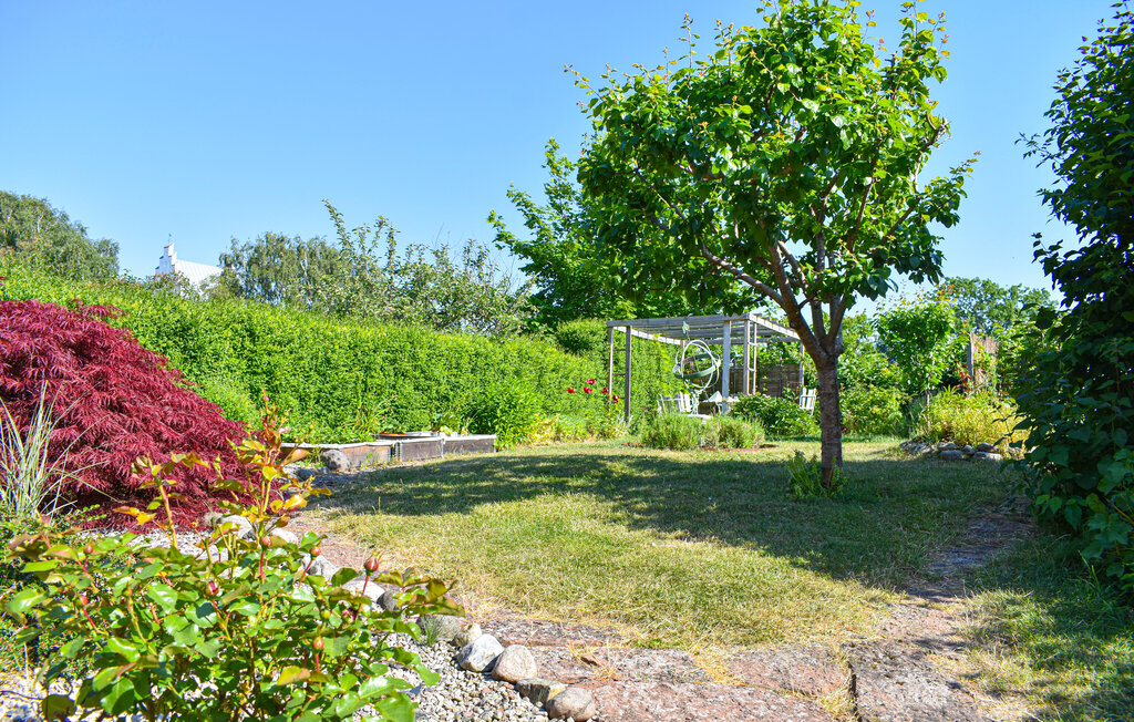 Ferienhaus - Simrishamn/Järrestad , Schweden - S12259 14
