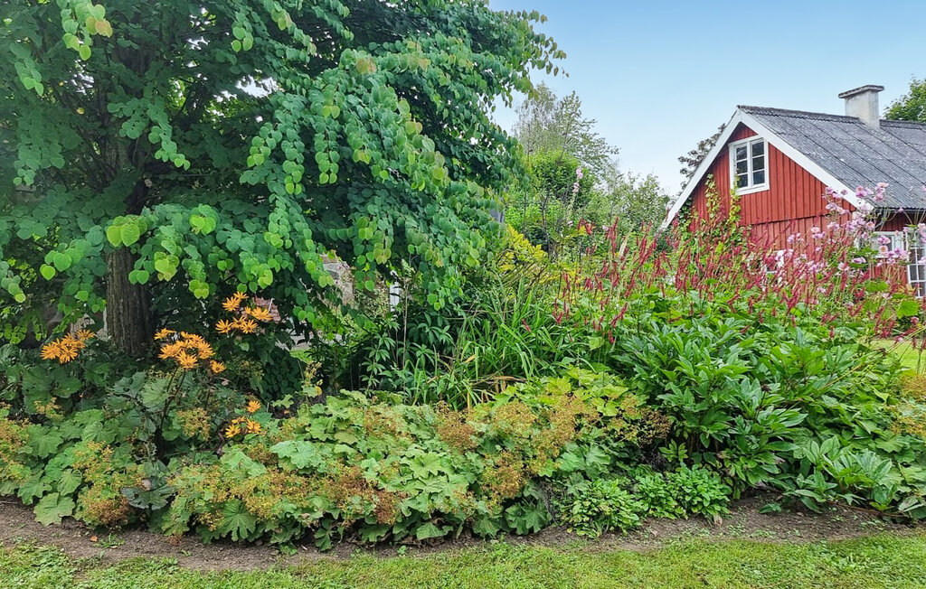 Ferienhaus - Degeberga Backar/Forsakar , Schweden - S12253 13