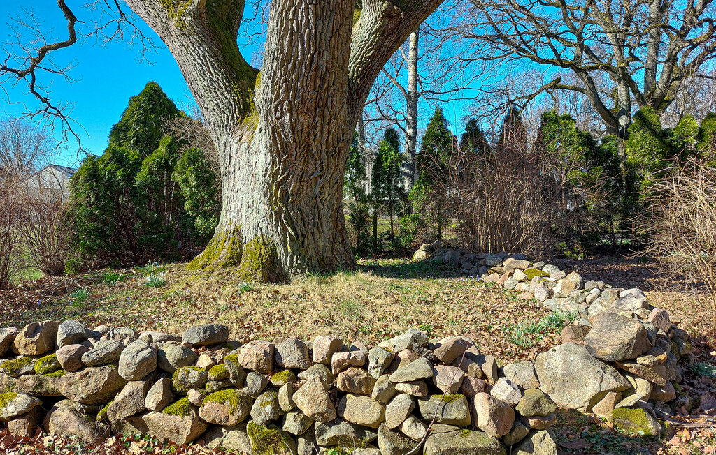 Location de vacances - Munka-Ljungby/Ängelholm , Suède - S12265 16