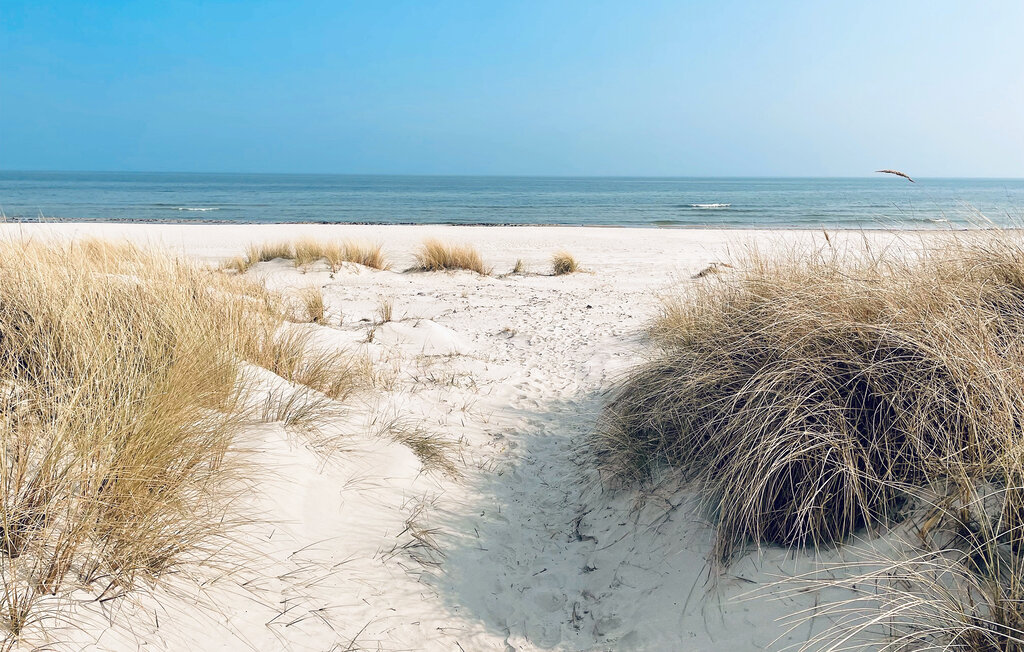 Location de vacances - Borrby/Ystad/Simrishamn , Suède - S12299 2