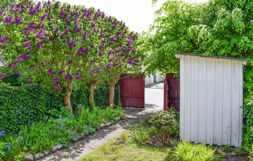 Domy wakacyjne - Limhamn/Malmö , Szwecja - S12342 10