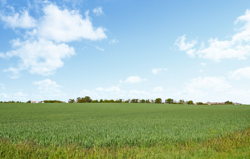 Feriehus - Simrishamn/Simris , Sverige - S12343 18