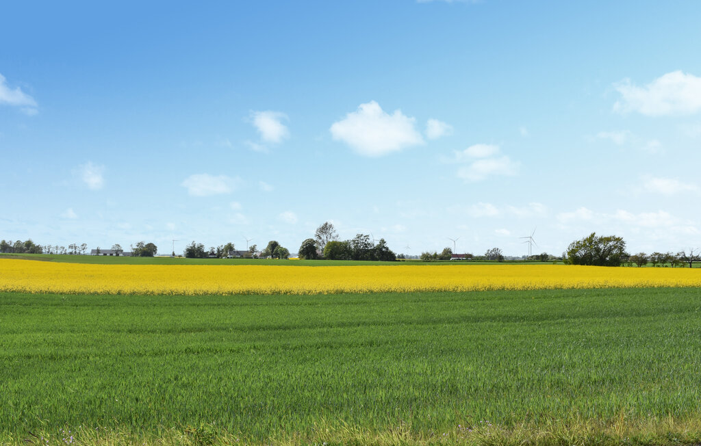 Feriehus - Simrishamn/Simris , Sverige - S12343 19