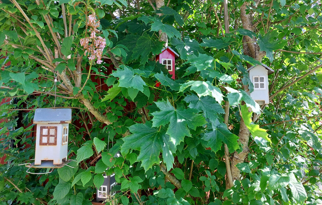 Feriehus - Bjärnum/Hässleholm , Sverige - S12282 11