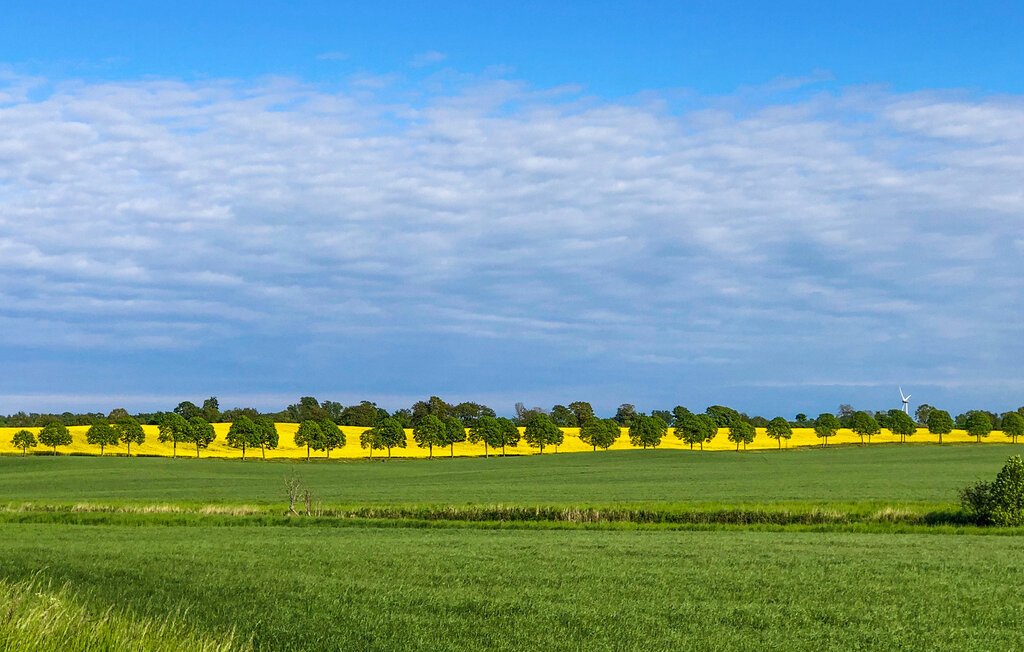 Domy wakacyjne - Österlen/Gyllebo/Simrishamn , Szwecja - S12250 29