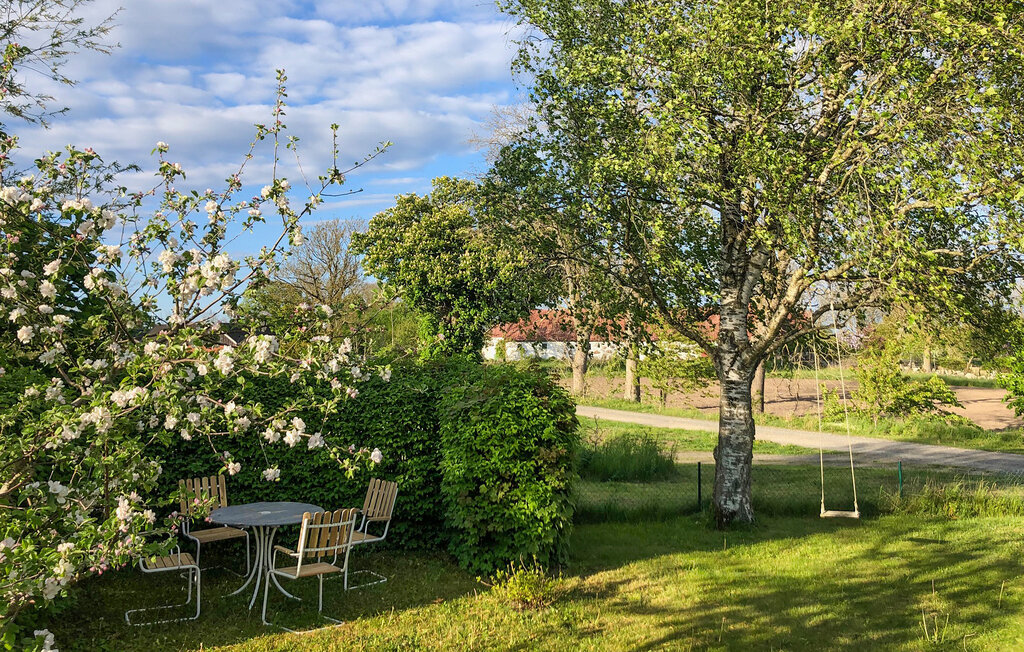 Domy wakacyjne - Österlen/Gyllebo/Simrishamn , Szwecja - S12250 7