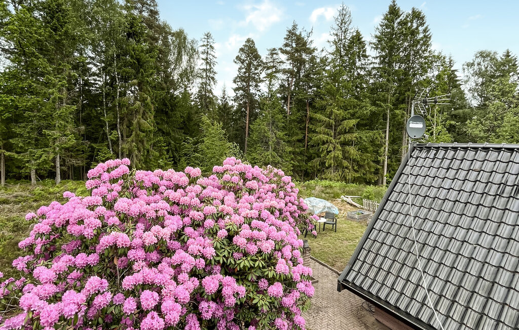 Stuga i Vittsjö, 6 bäddar – bild 2 av 5