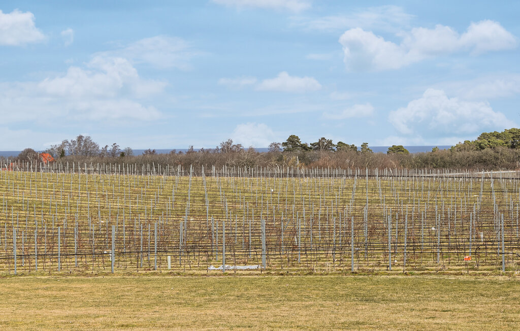 Ferienhaus - Kivik/Simrishamn , Schweden - S13342 20
