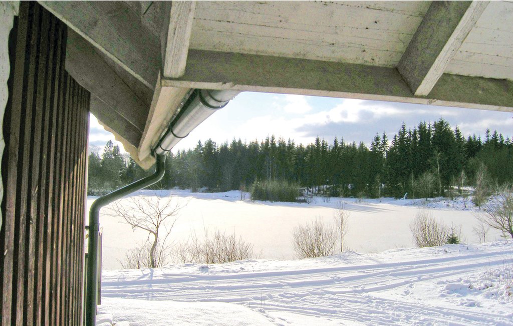 Ferienhaus - Långaryd , Schweden - S16127 9