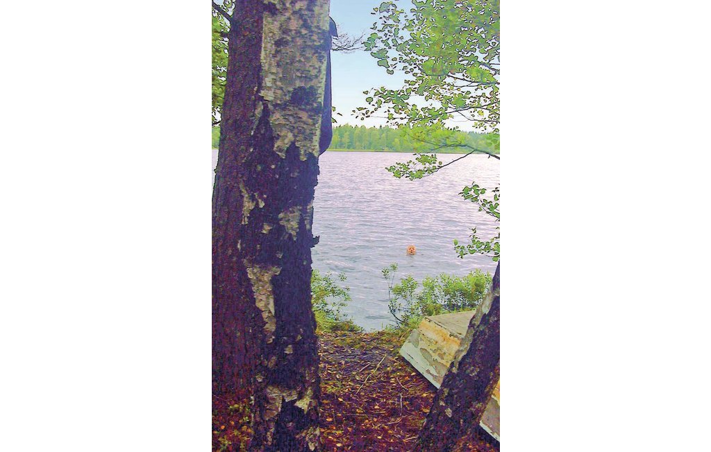 Ferienhaus - Femsjö/Simlångsdalen , Schweden - S16129 15