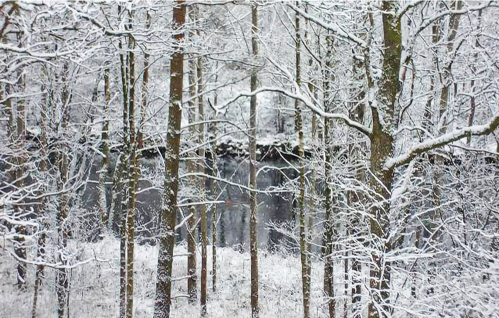 Feriehuse - Knäred , Sverige - S16190 23