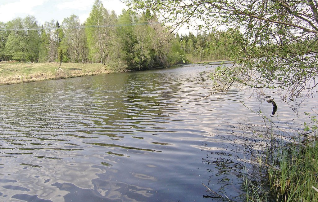 Ferienhaus - Långaryd , Schweden - S16119 14