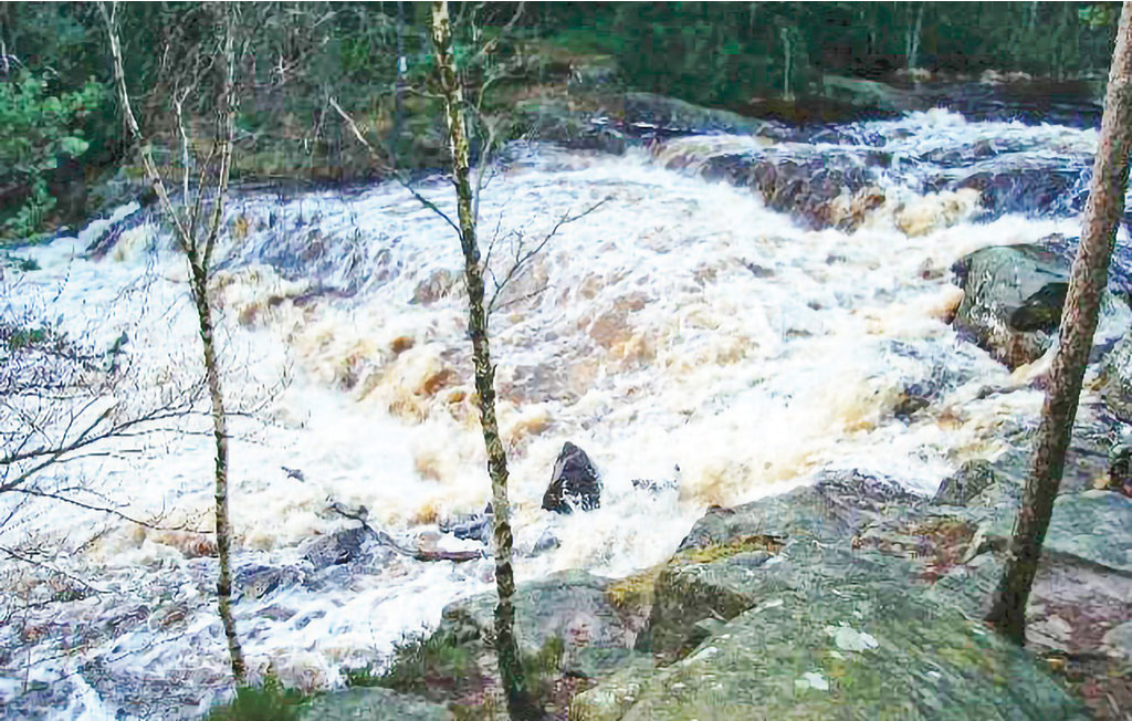 Feriehuse - Knäred , Sverige - S16190 24