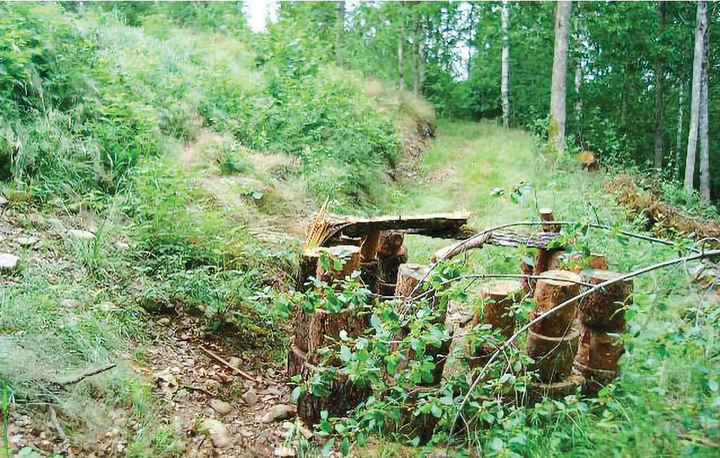 Feriehuse - Knäred , Sverige - S16190 25