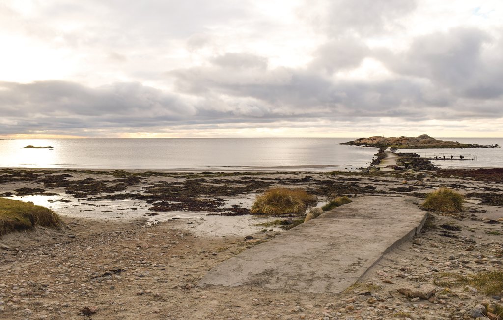 Ferienhaus - Steninge/Halmstad , Schweden - S16091 21