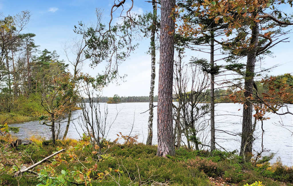 Semesterhus - Hishult , Sverige - S16206 9