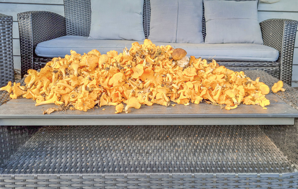 Semesterhus - Hishult , Sverige - S16206 12