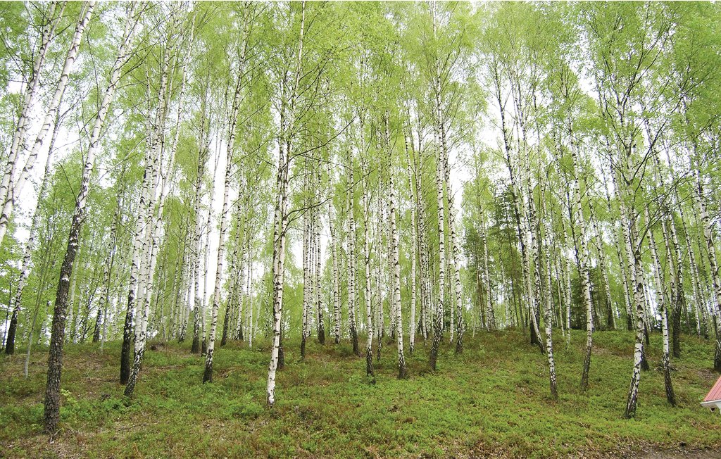 Feriehus - Saraböke/Hyltebruk , Sverige - S16135 23