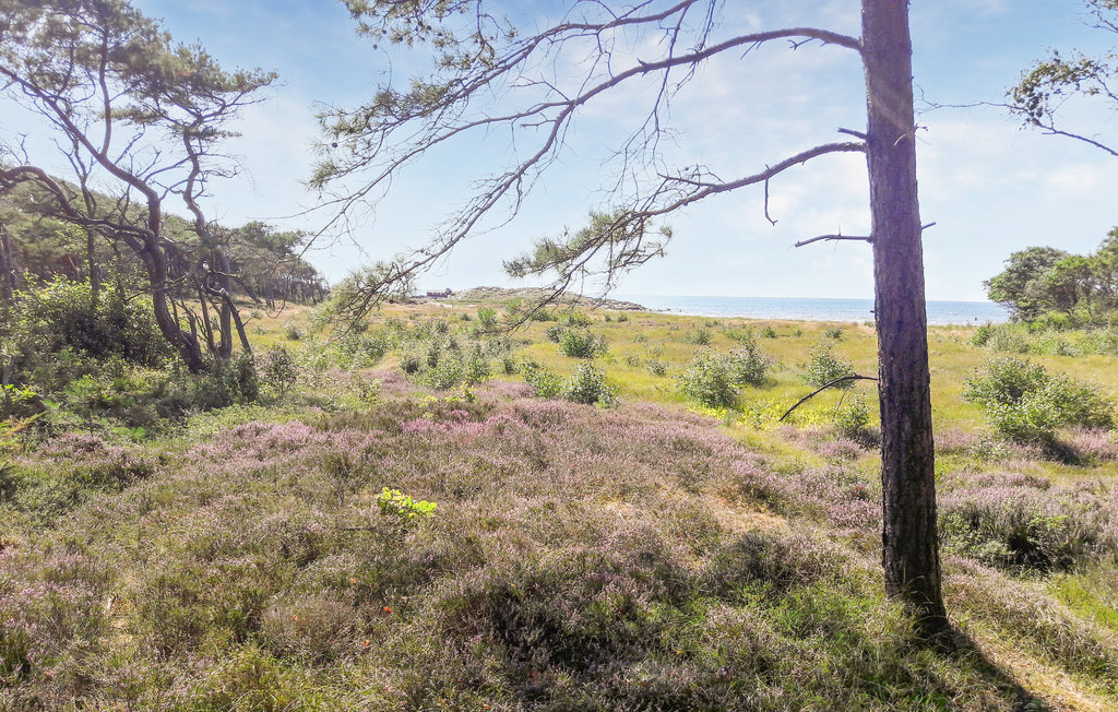 Feriehuse - Långasand/Falkenberg , Sverige - S16286 19