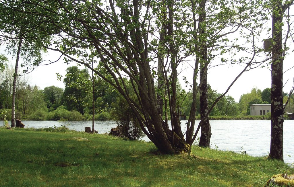 Ferienhaus - Långaryd , Schweden - S16119 3