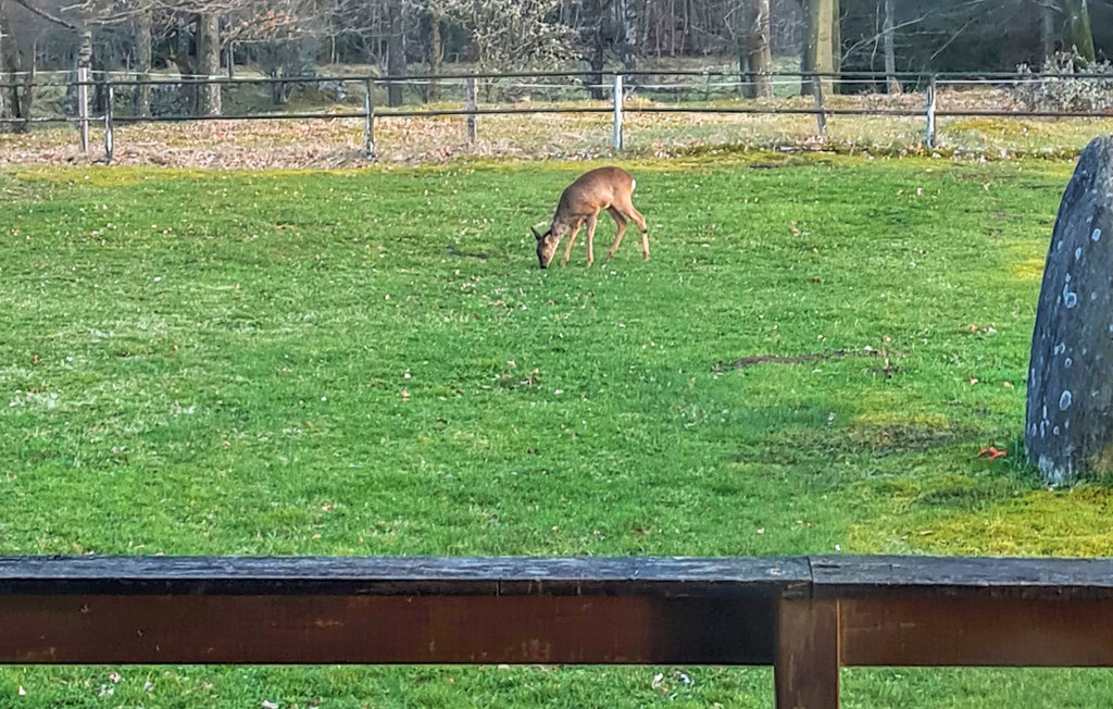 Semesterhus - Hishult , Sverige - S16206 14