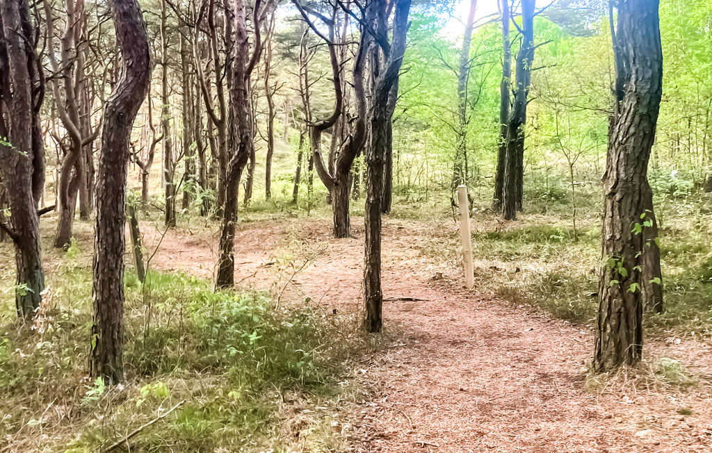 Feriehuse - Långasand/Falkenberg , Sverige - S16286 9