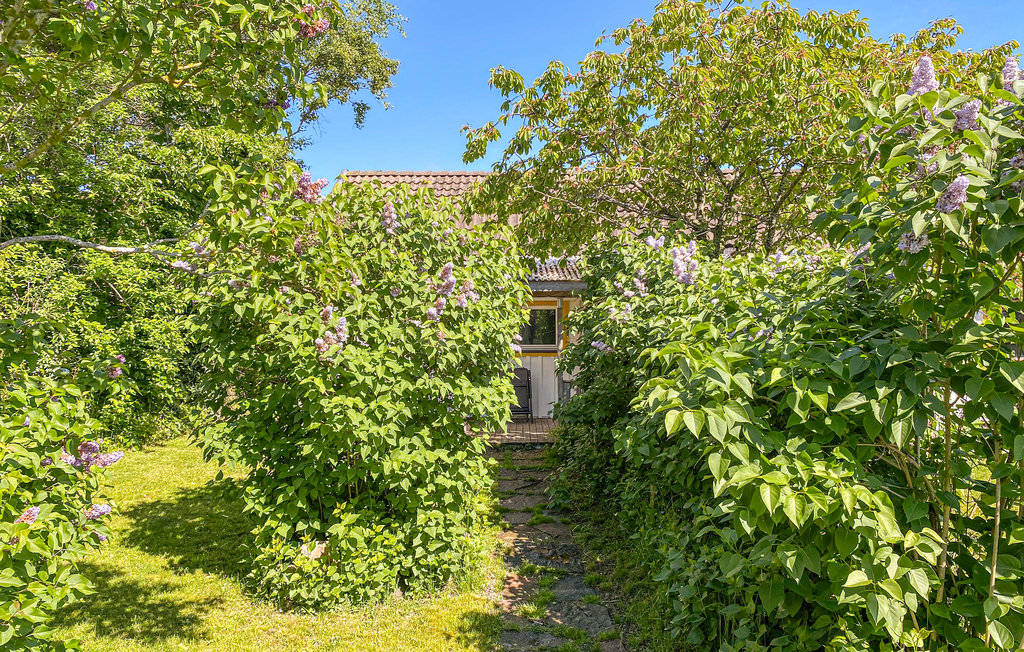 Ferienhaus - Glommen/Falkenberg , Schweden - S16287 11