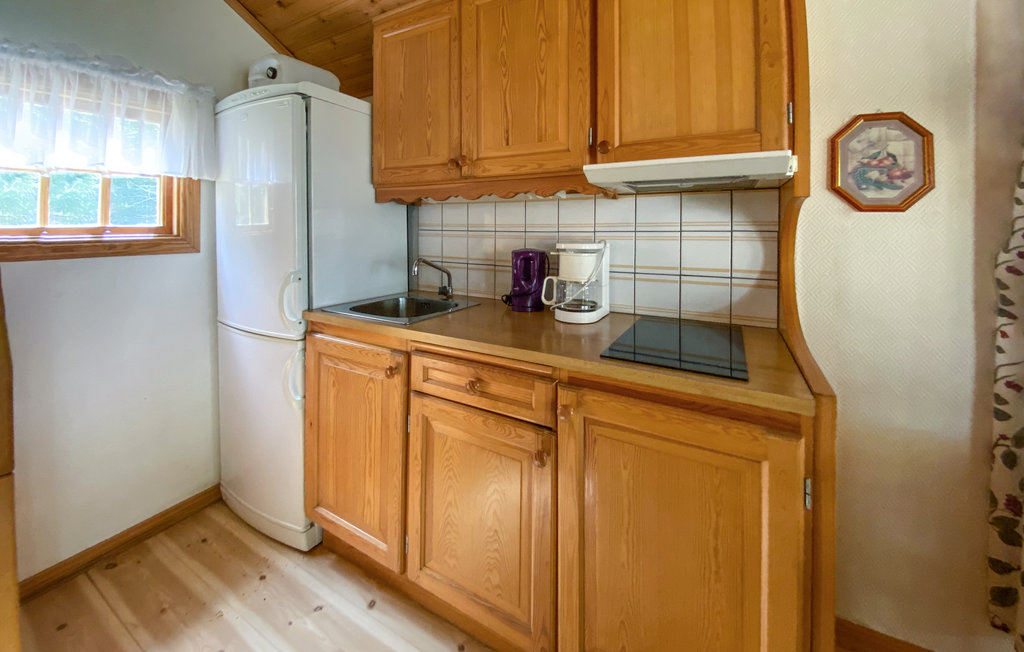 Ferienhaus - Jälluntofta/Unnaryd , Schweden - S16364 5