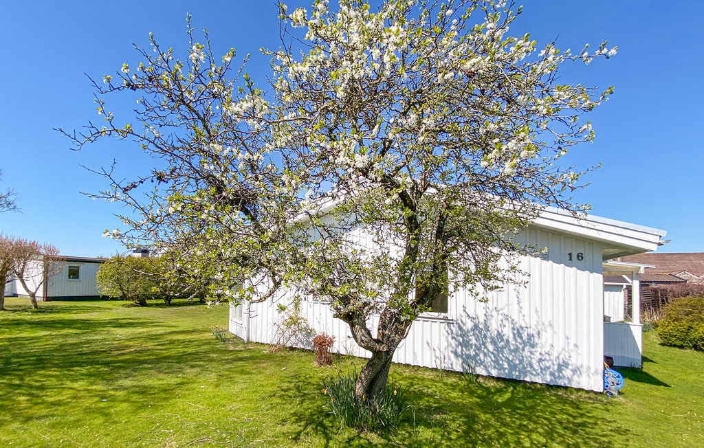 Semesterhus - Skrea strand/Falkenberg , Sverige - S16356 13