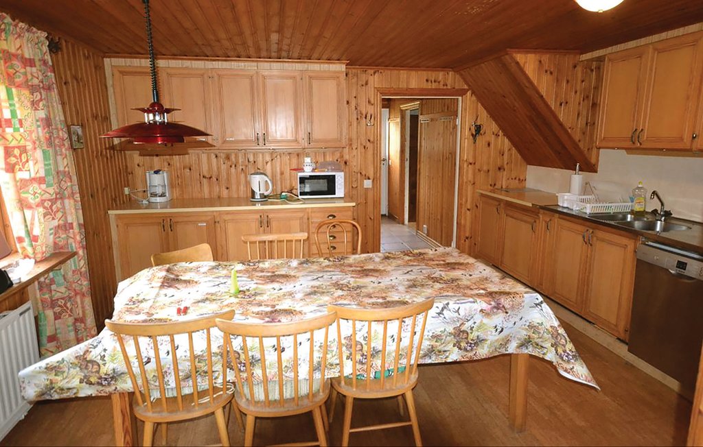 Domy wakacyjne - Fegen , Szwecja - S16100 4