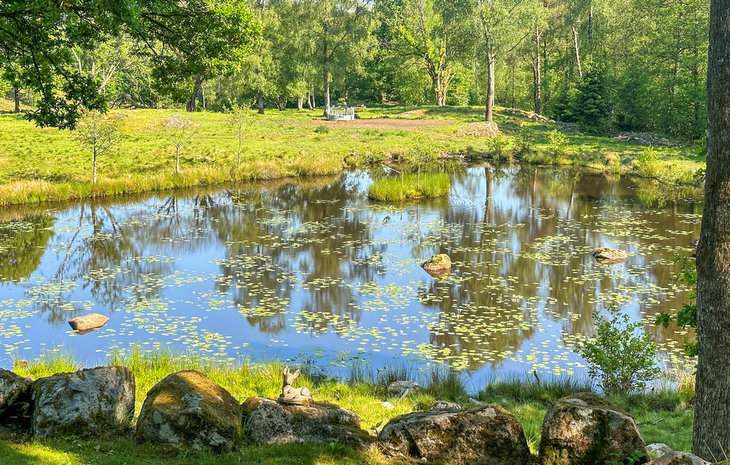 Feriehuse - Ätran , Sverige - S16372 17