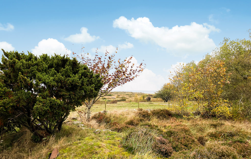 Ferienhaus - Falkenberg , Schweden - S16381 17