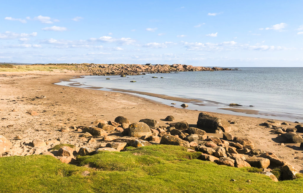 Ferienhaus - Falkenberg , Schweden - S16381 7