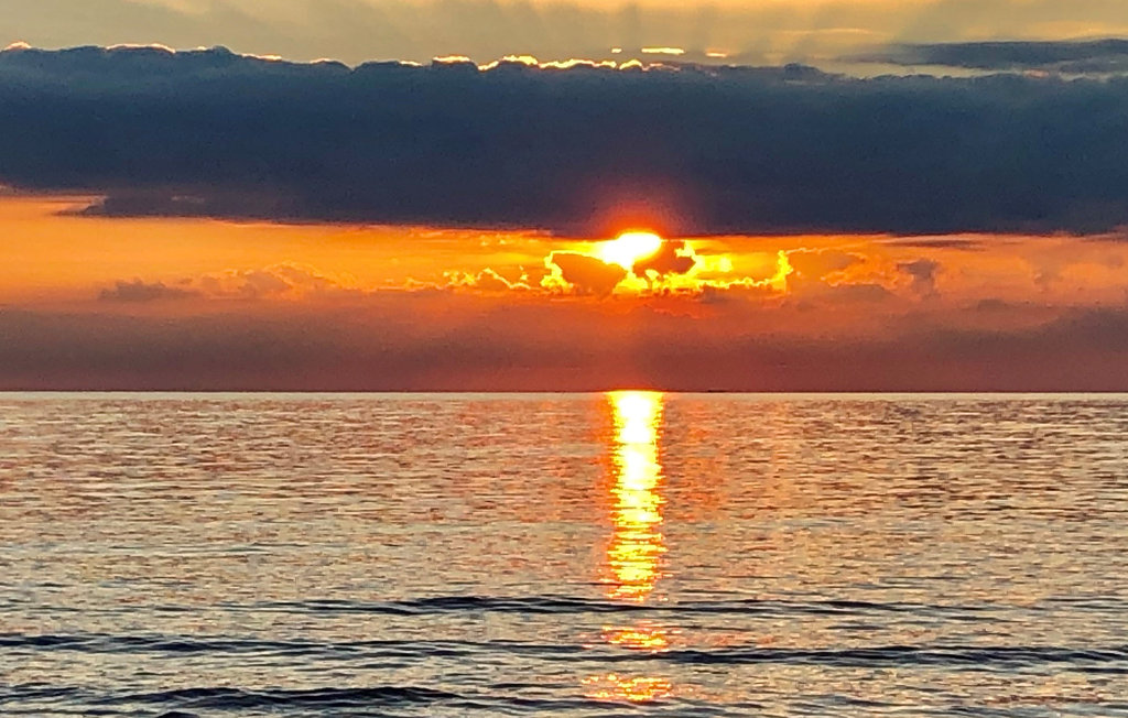 Ferienhaus - Falkenberg , Schweden - S16381 23