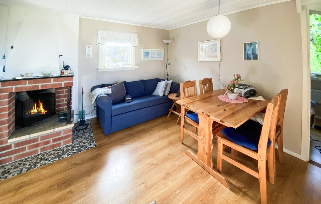 Ferienhaus - Falkenberg , Schweden - S16381 3