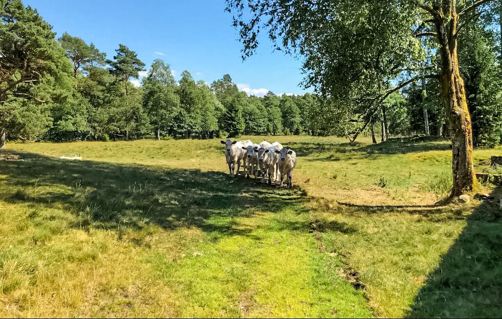 Feriehus - Laholm/Knäred , Sverige - S16323 24