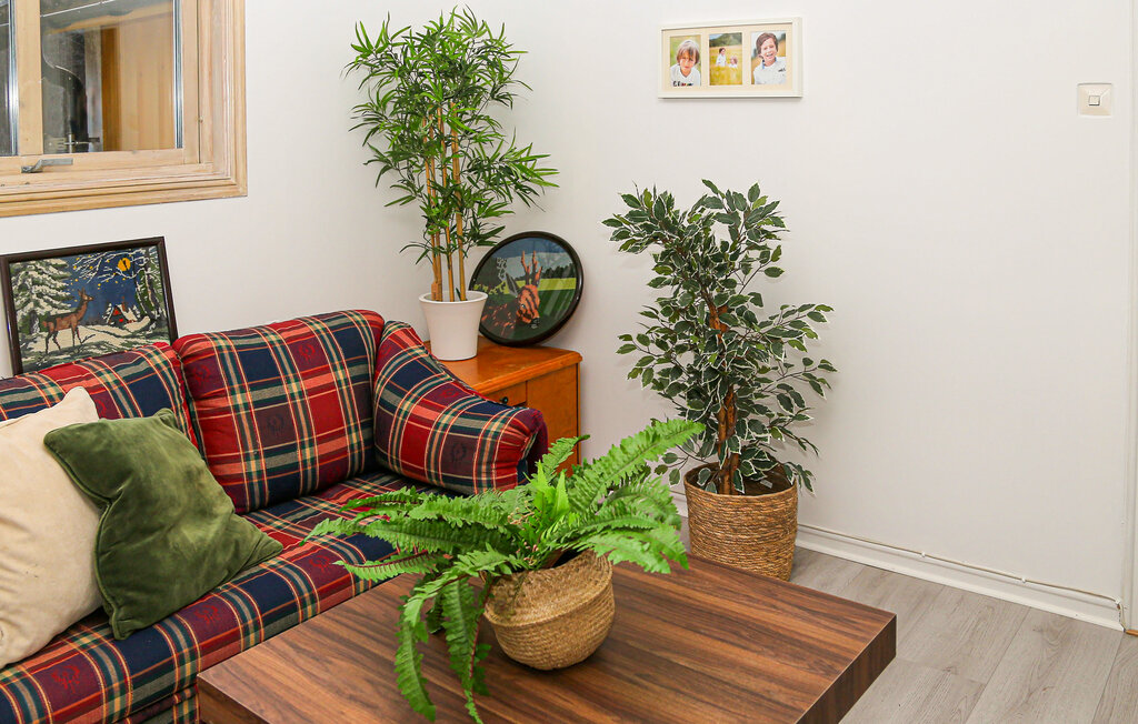 Feriehuse - Hyltebruk/Hylte , Sverige - S16321 12