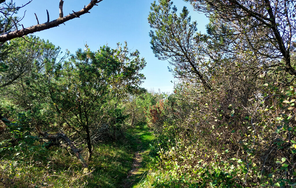 Semesterhus - Halmstad , Sverige - S16320 13