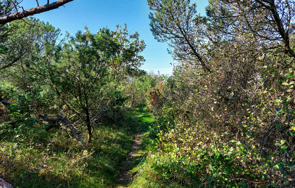 Feriehuse - Mellbystrand/Halland , Sverige - S16401 33