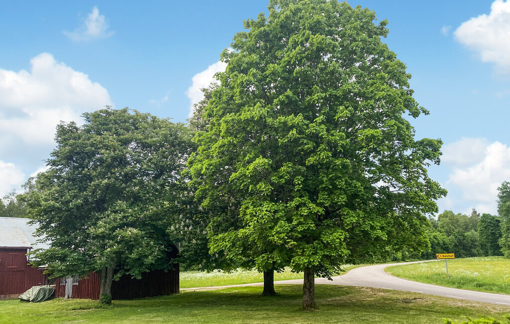 Feriehuse - Hyltebruk/Hylte , Sverige - S16321 9