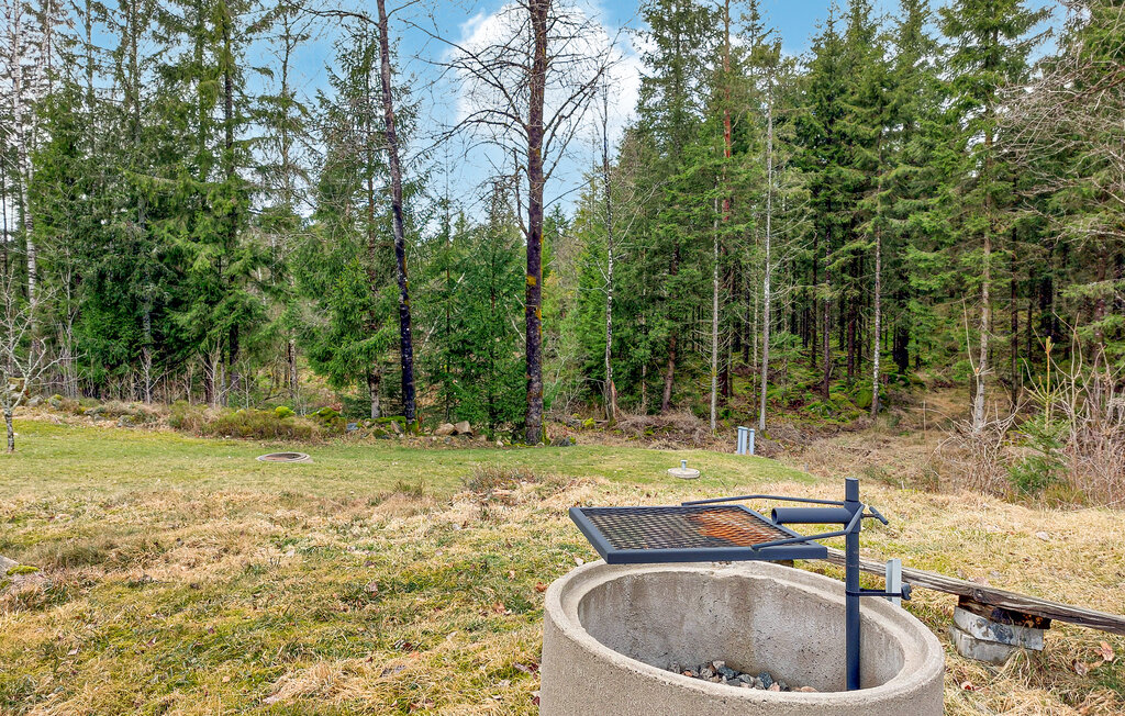 Feriehuse - Ullared/Falkenberg , Sverige - S16409 14