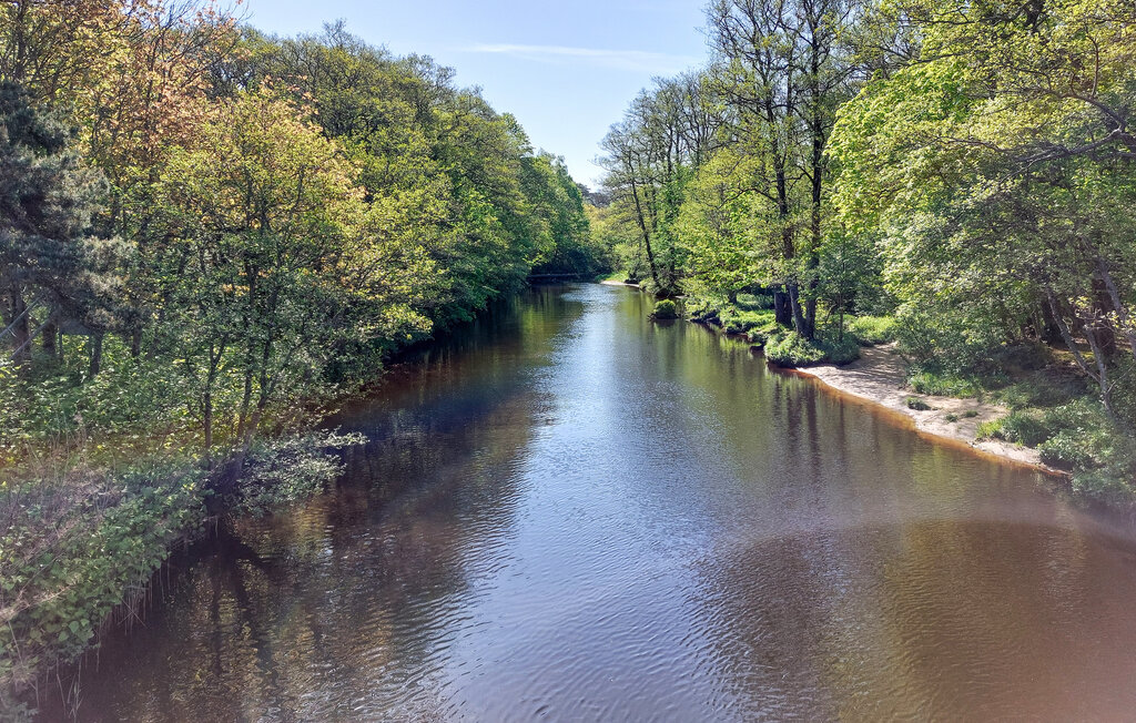 Ferienhaeuser - Skummeslövsstrand/Laholm , Schweden - S16418 22