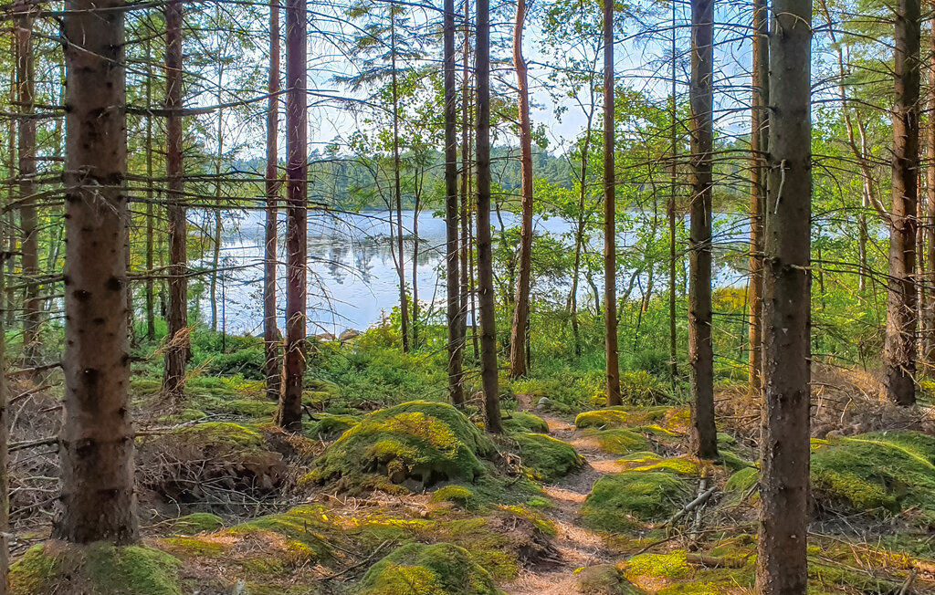 Feriehuse - Hishult , Sverige - S16349 9