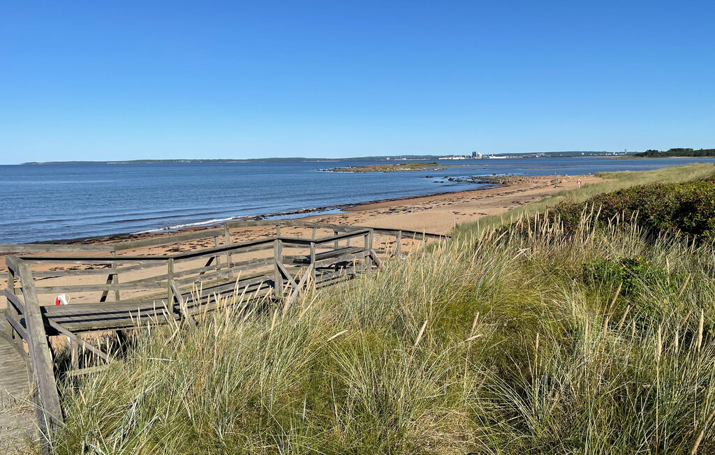 Ferienhaeuser - Halmstad , Schweden - S16461 9