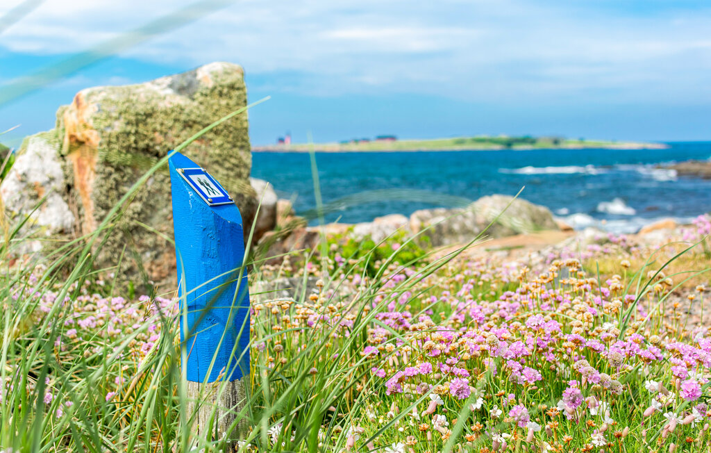 Domy wakacyjne - Heberg/Falkenberg , Szwecja - S16473 7