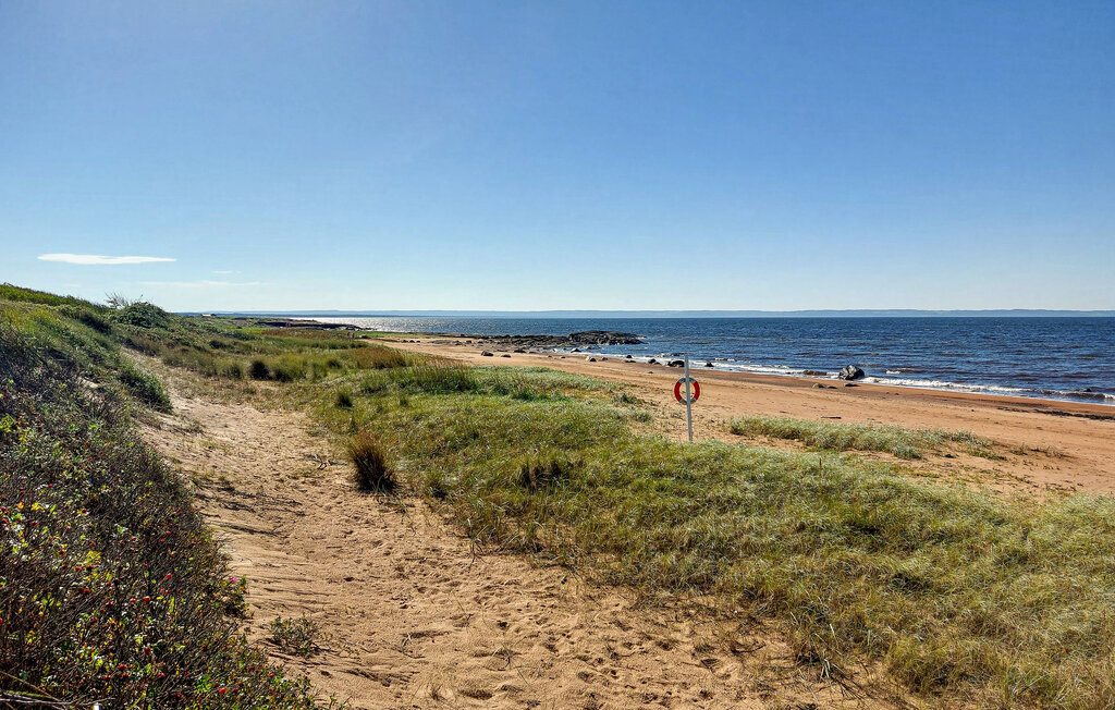 Domy wakacyjne - Heberg/Falkenberg , Szwecja - S16473 24