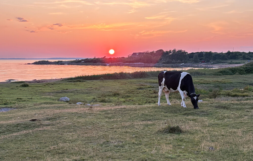 Feriehuse - Halmstad , Sverige - S16320 33