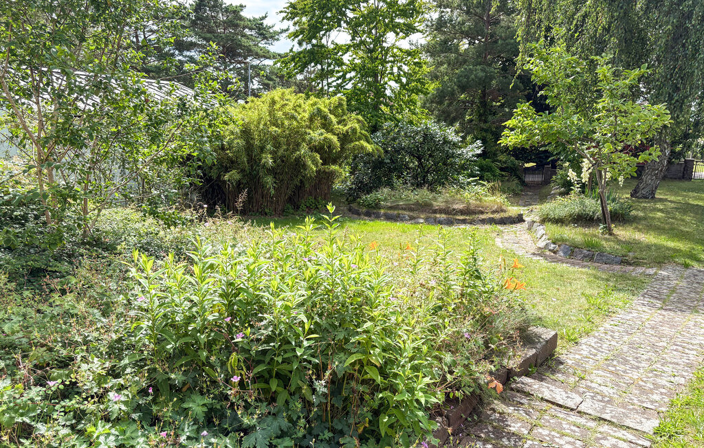 Feriehuse - Halmstad , Sverige - S16320 19